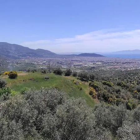 Admonis - Home In The Olive Grove Melissatika Exterior photo