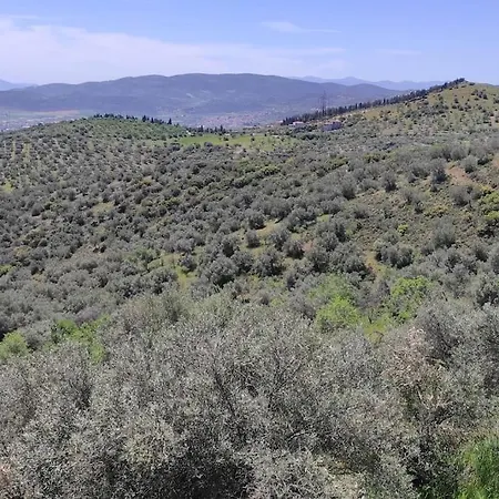 Admonis - Home In The Olive Grove Melissatika Exterior photo