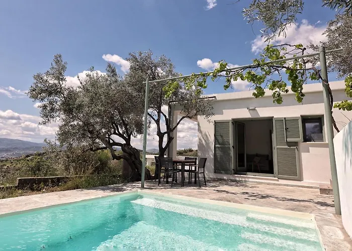 Admonis - Home In The Olive Grove