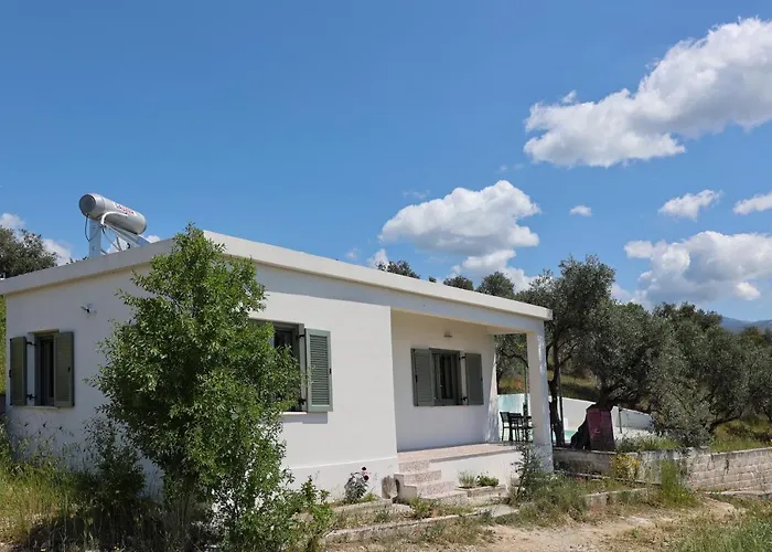 Admonis - Home In The Olive Grove