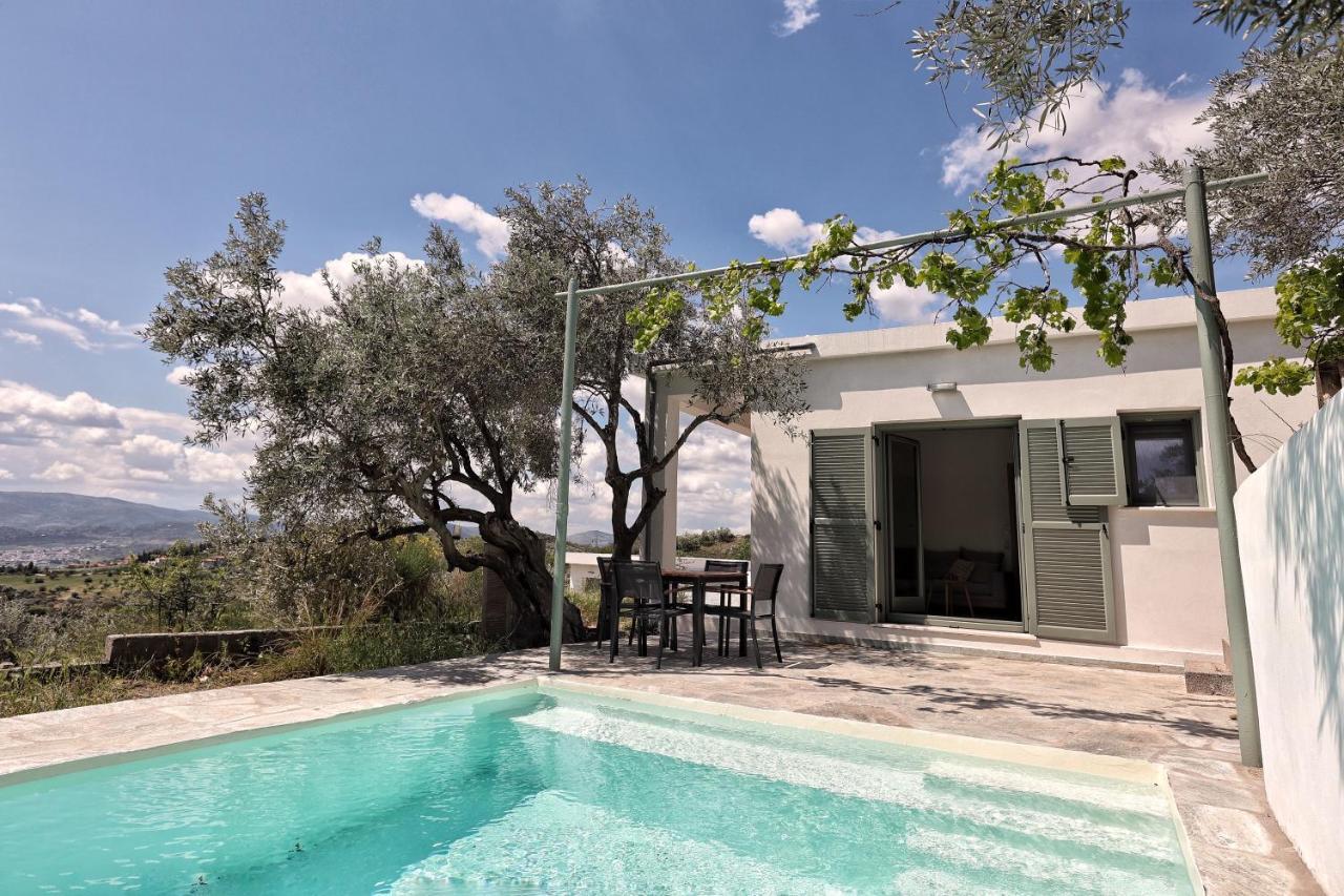 Apartment Admonis - In The Olive Grove *