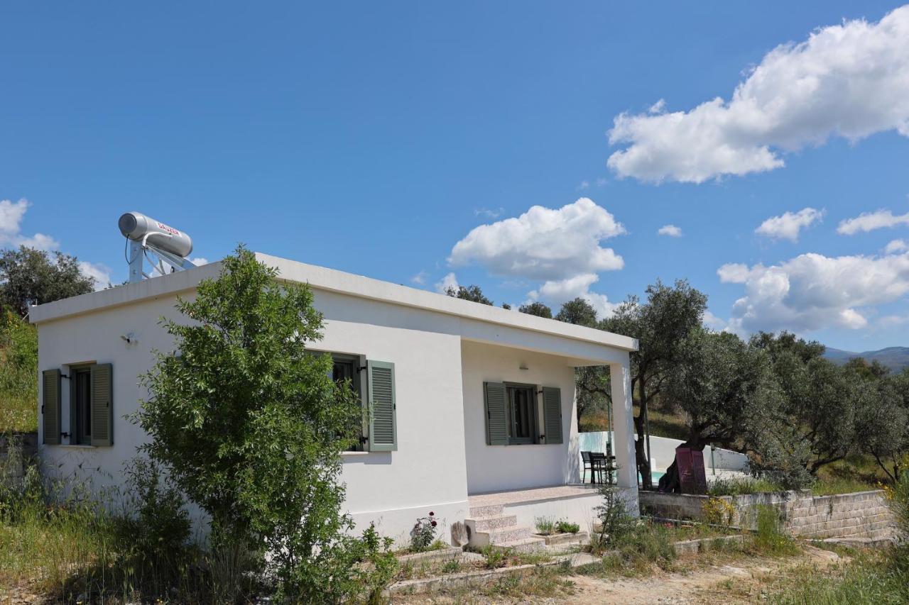 Admonis - In The Olive Grove