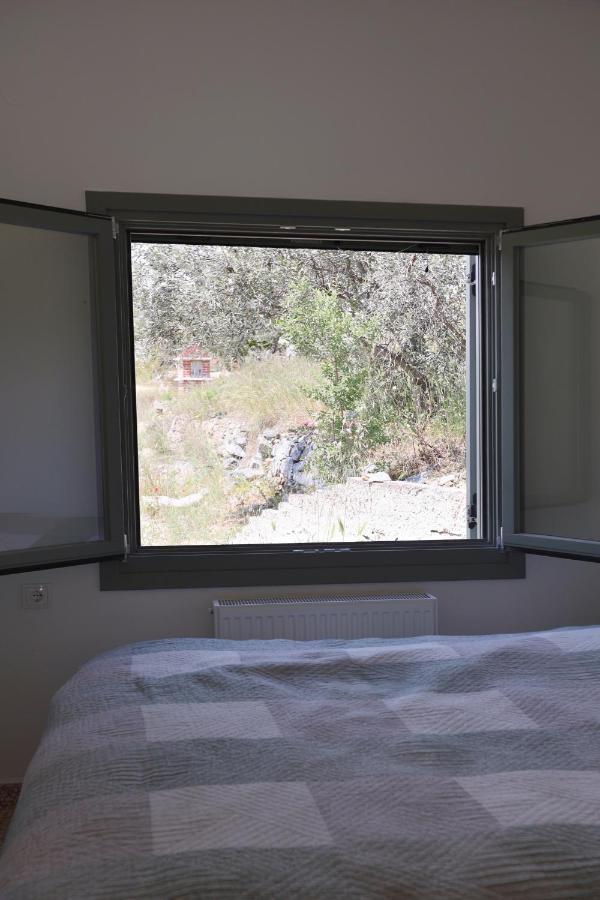 Admonis - In The Olive Grove Apartment *
