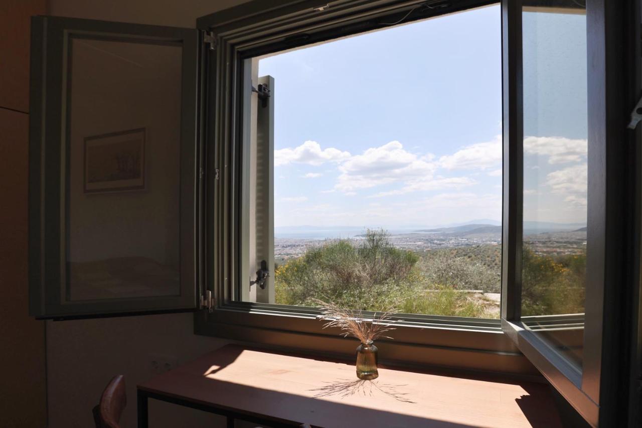 Admonis - In The Olive Grove Melissatika