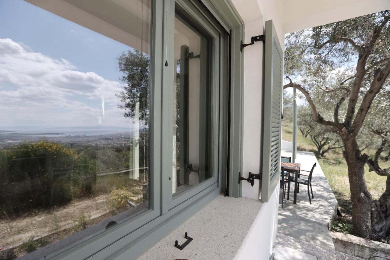 Admonis - In The Olive Grove Apartment *