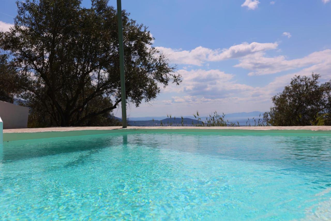 Apartment Admonis - In The Olive Grove