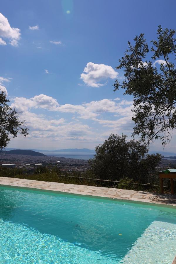 Admonis - In The Olive Grove Apartment *