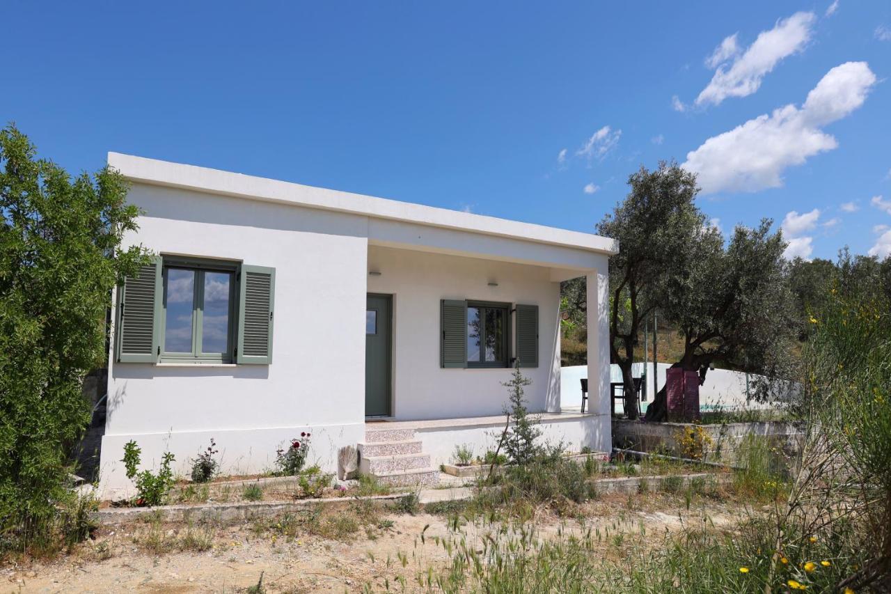 Admonis - In The Olive Grove Melissatika