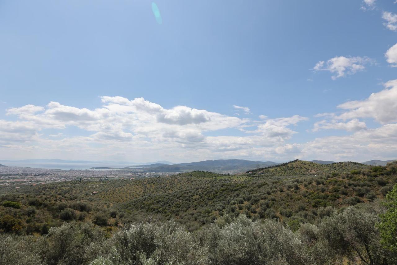 Admonis - In The Olive Grove Apartment *